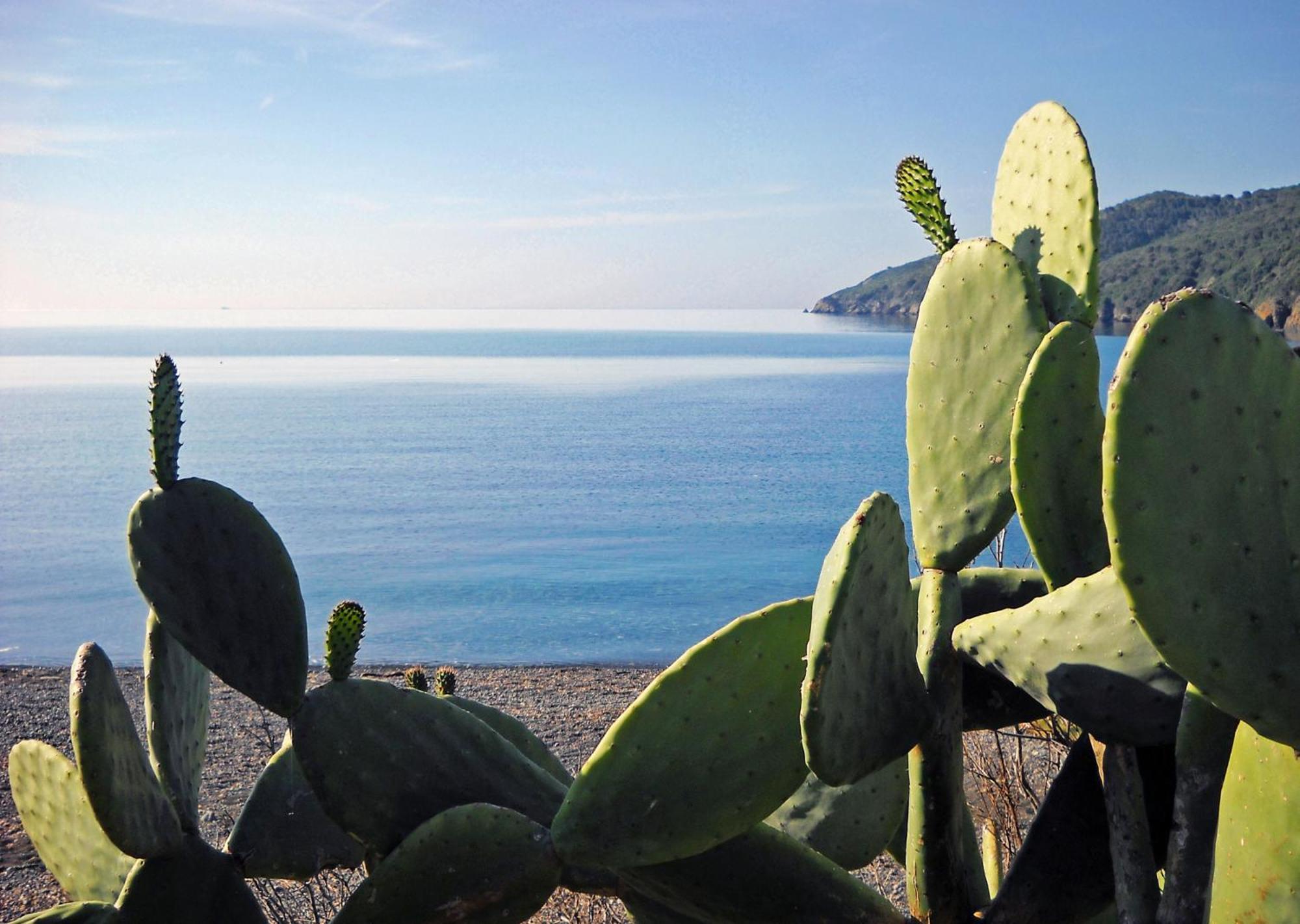 Capo Sud Lacona