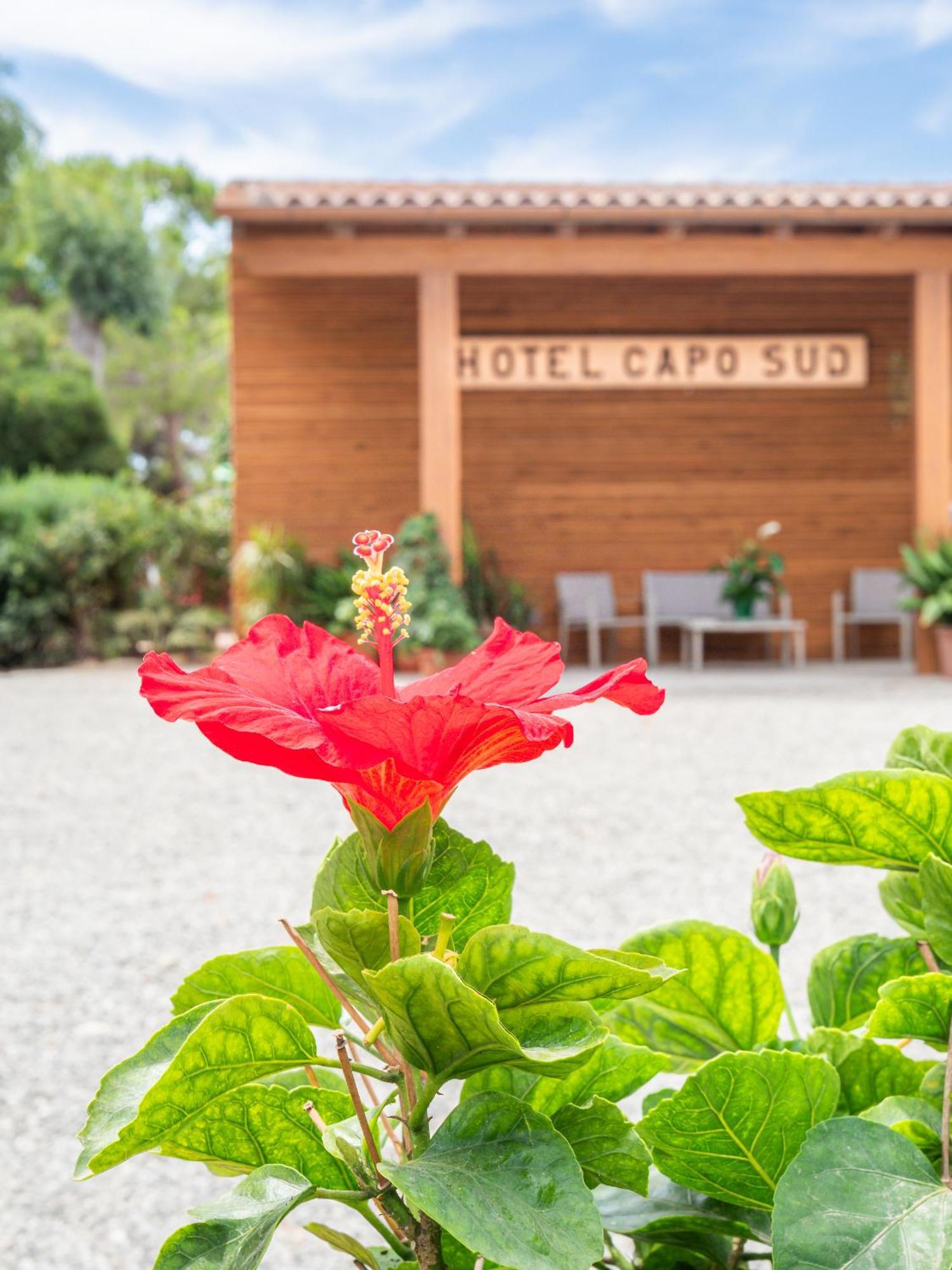 Hotel Capo Sud Lacona