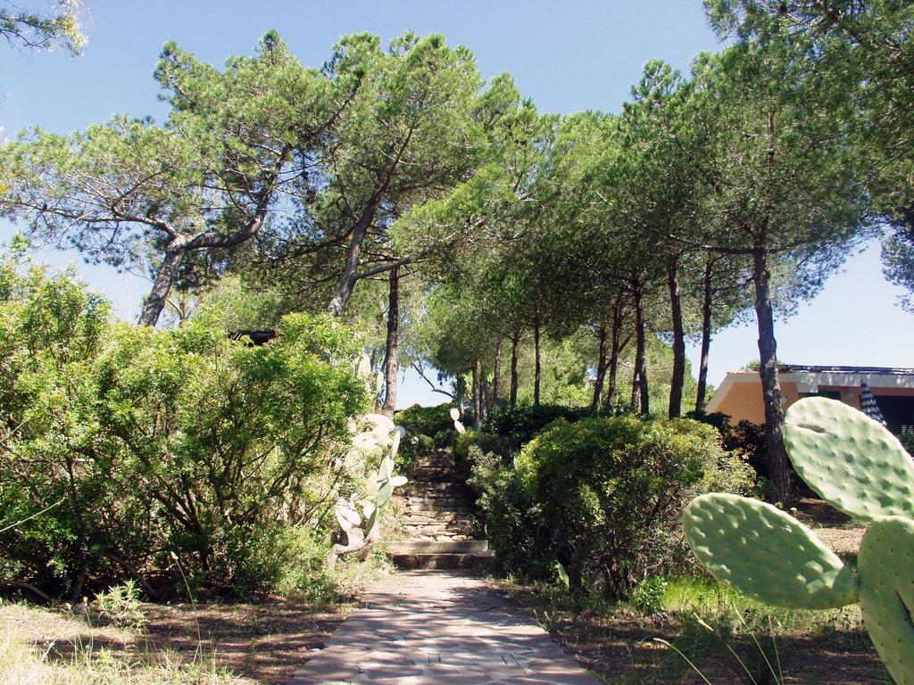 Capo Sud 3*