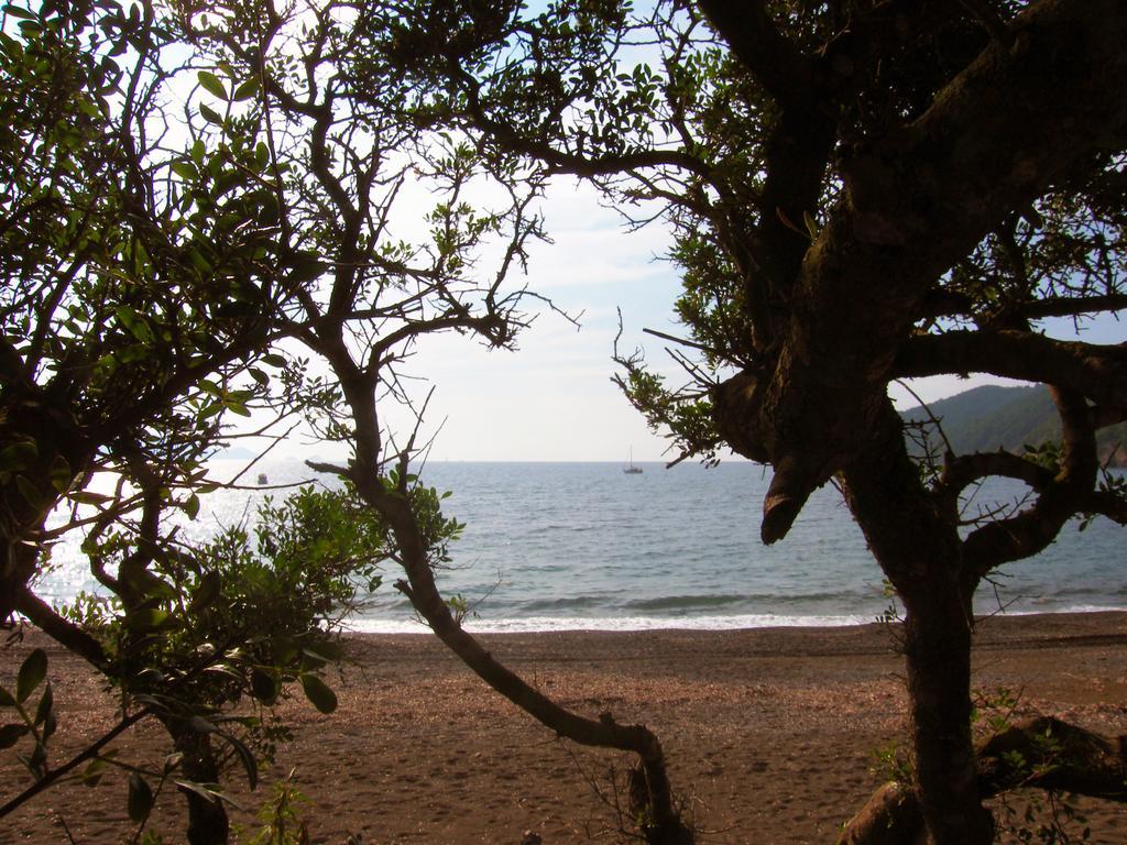 Capo Sud Hotel Lacona