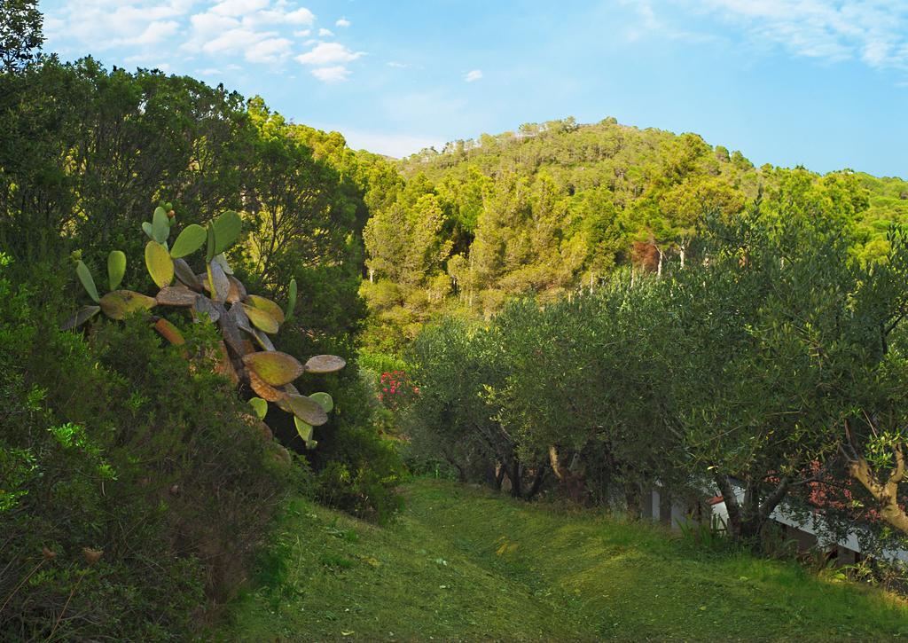 Capo Sud Hotel Lacona