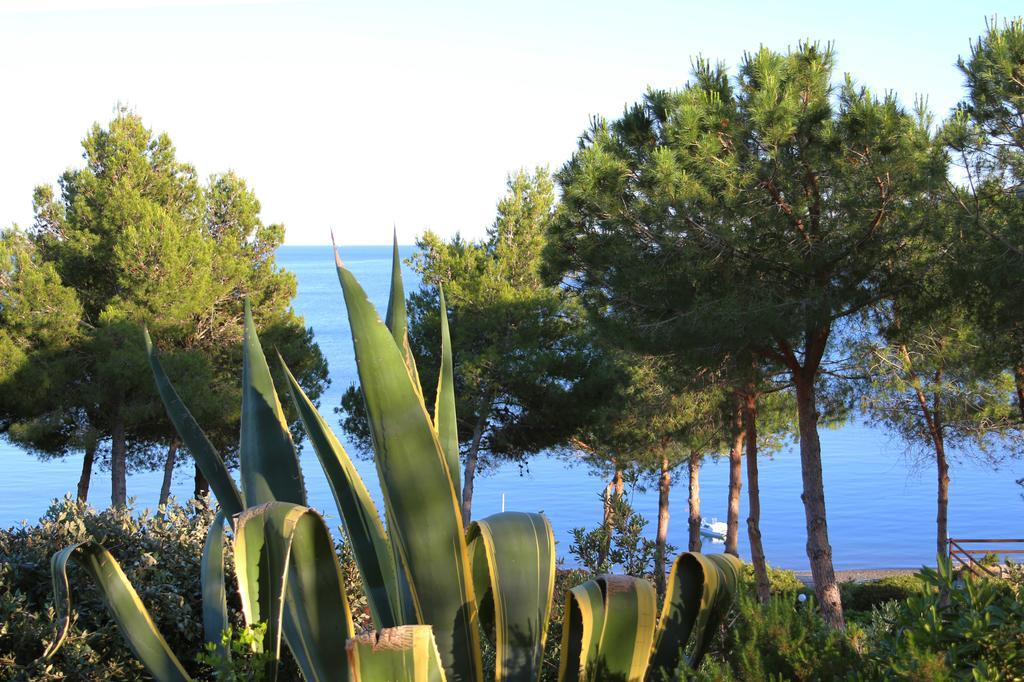Capo Sud 3* Lacona