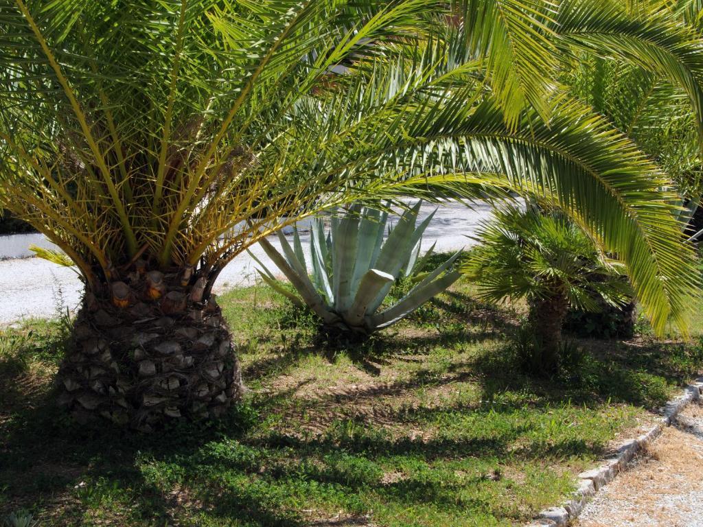 Hotel Capo Sud 3*